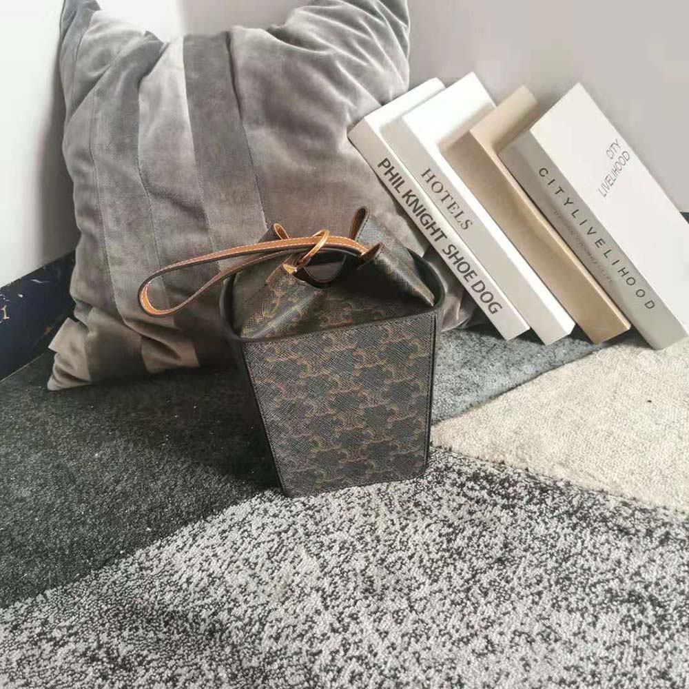 TÚI Celine Strap Box in Triomphe Canvas and Calfskin
