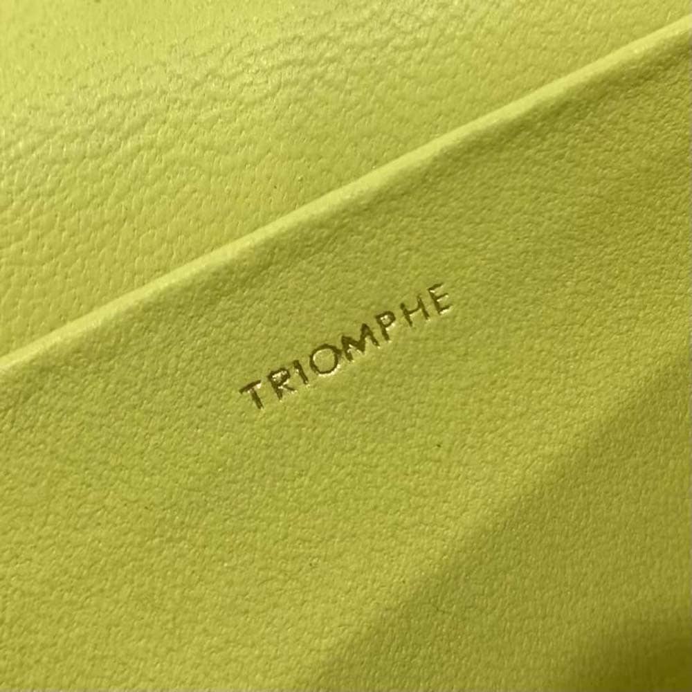 TÚI Celine Women Chain Shoulder Bag Cuir Triomphe in Shiny Calfskin-Yellow
