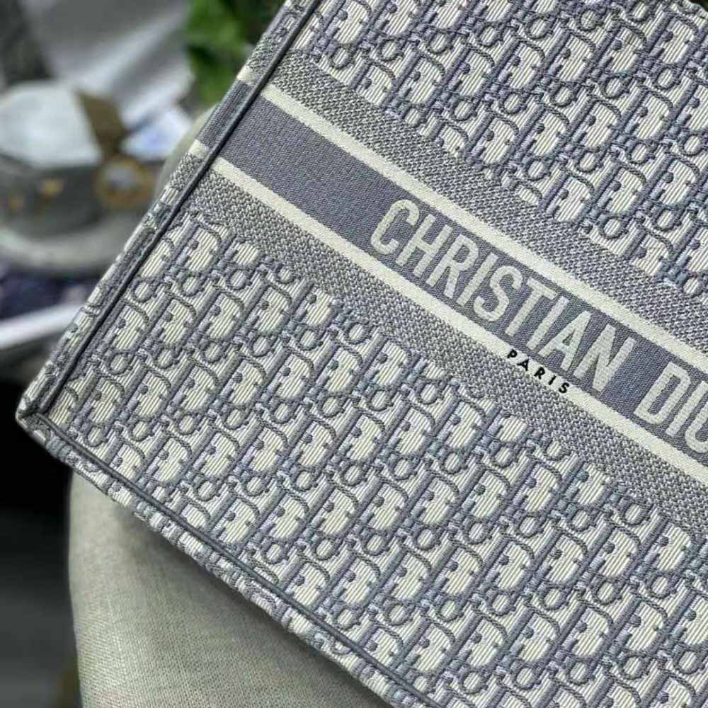 TÚI Dior Women Dior Book Tote-Silver