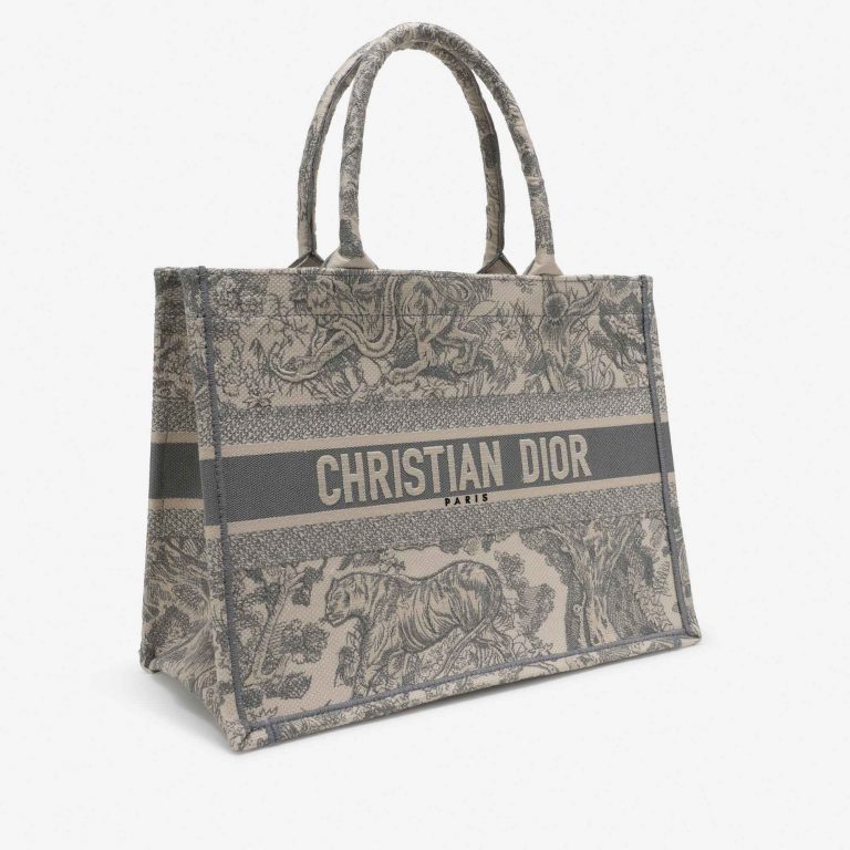 TÚI DIOR Book Tote Small Toile Beige Grey