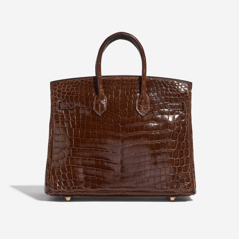 TÚI Hermès Birkin 25 Niloticus Crocodile Miel Gold Buckle khóa vàng