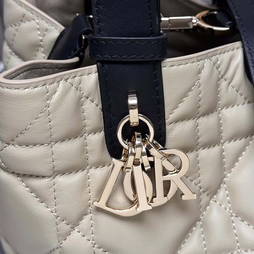 TÚI Dior Toujours Rope màu be và đen Macrocannage Calfskin cỡ nhỏ