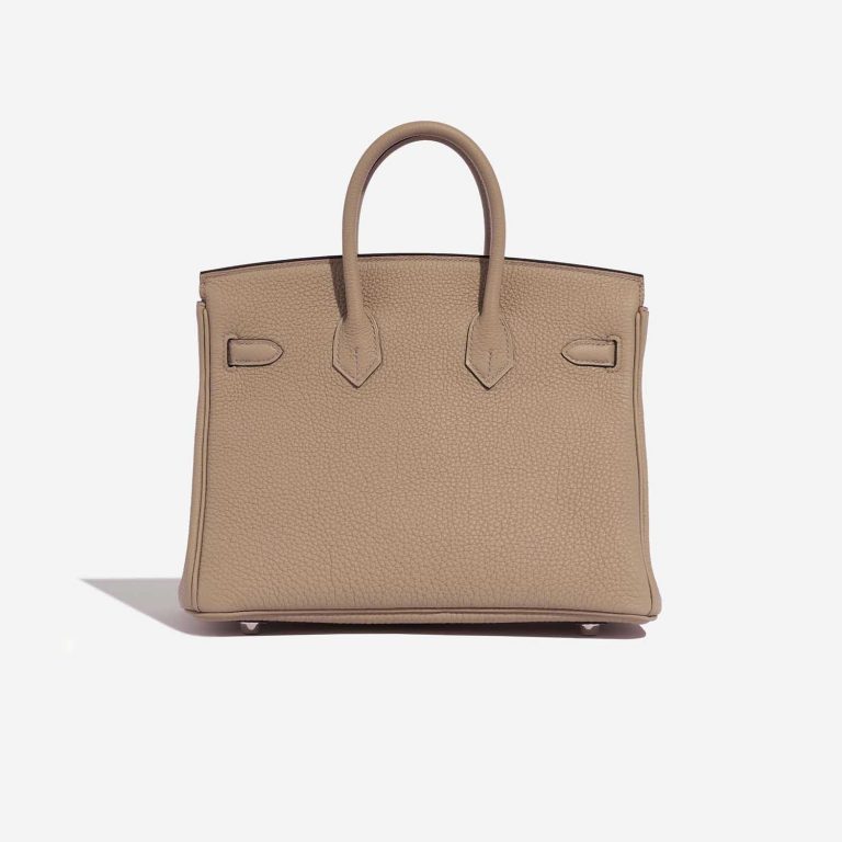 TÚI Hermès Birkin 25 Verso Togo Trench Bougainvillier