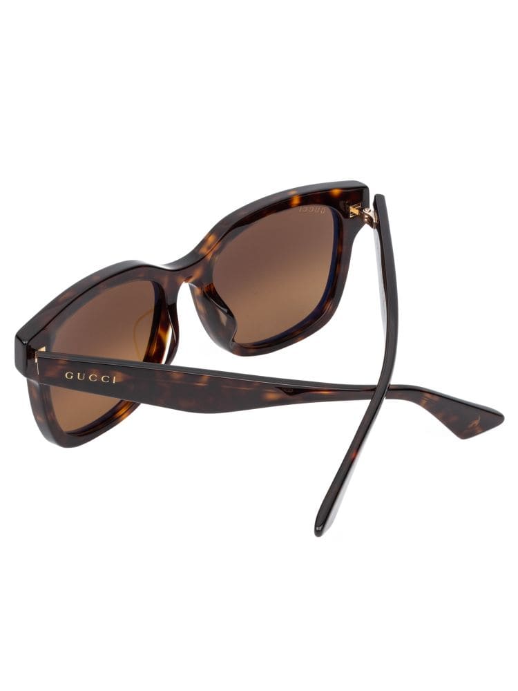 Kính GUCCI TURTLE FRAME HIGH CLASSY AAA