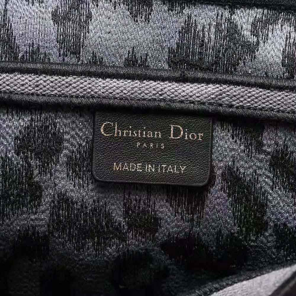 TÚI Dior Women Saddle Bag Gray Mizza Embroidery