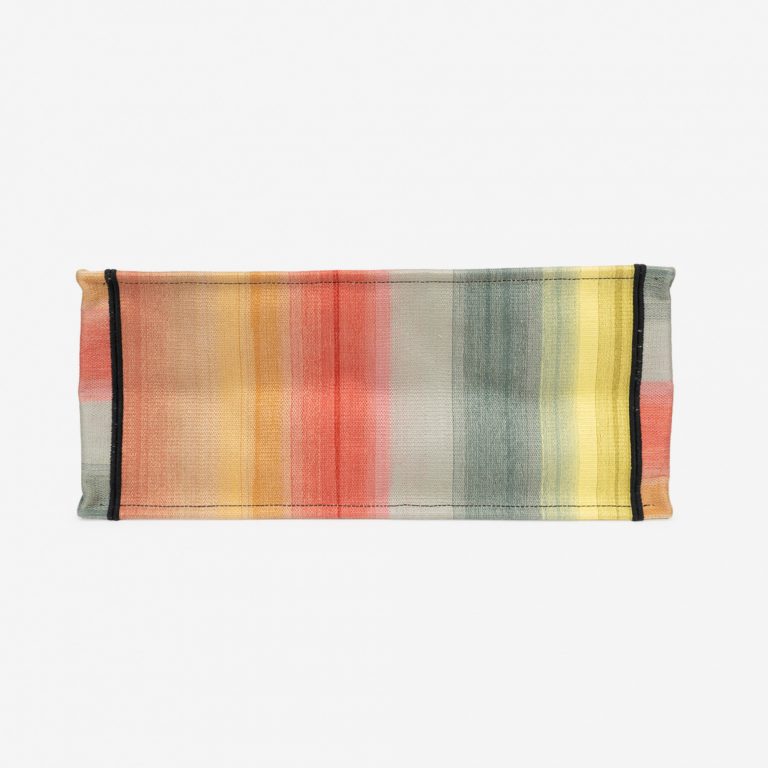 TÚI DIOR Book Tote Large Canvas Multicolour