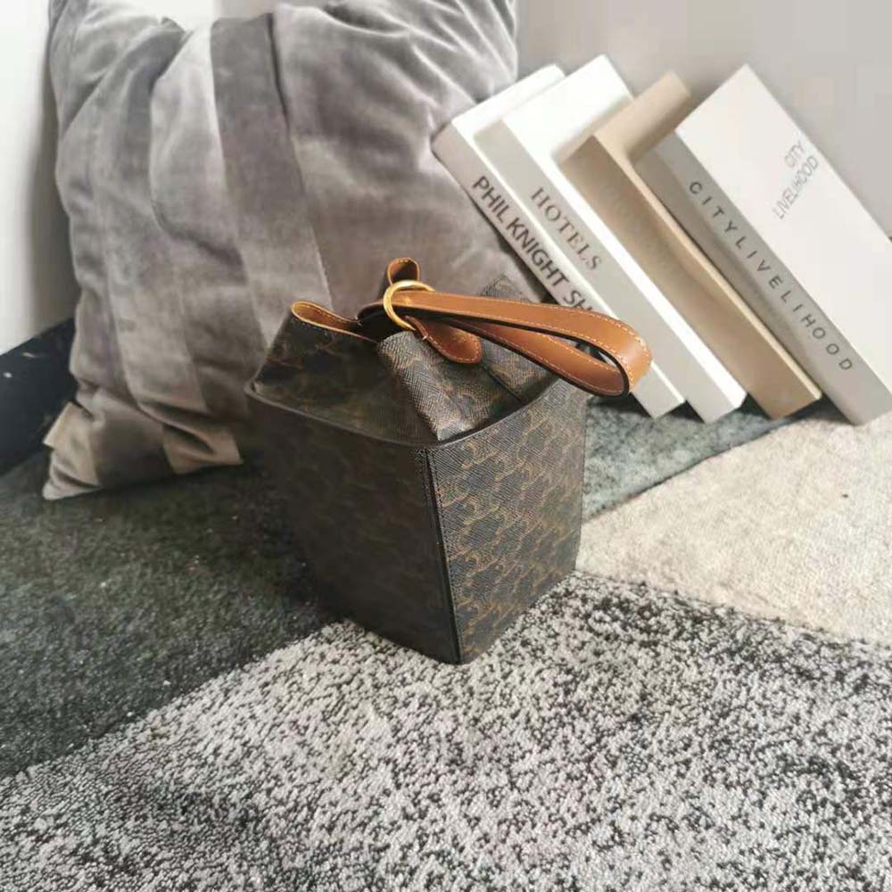 TÚI Celine Strap Box in Triomphe Canvas and Calfskin