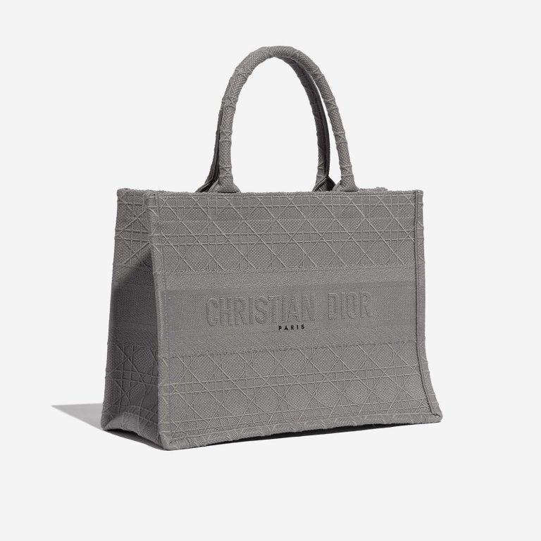 TÚI Dior Book Tote Medium Canvas Grey