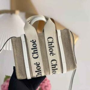 TÚI Chloe Women Mini Woody Tote Bag-Blue