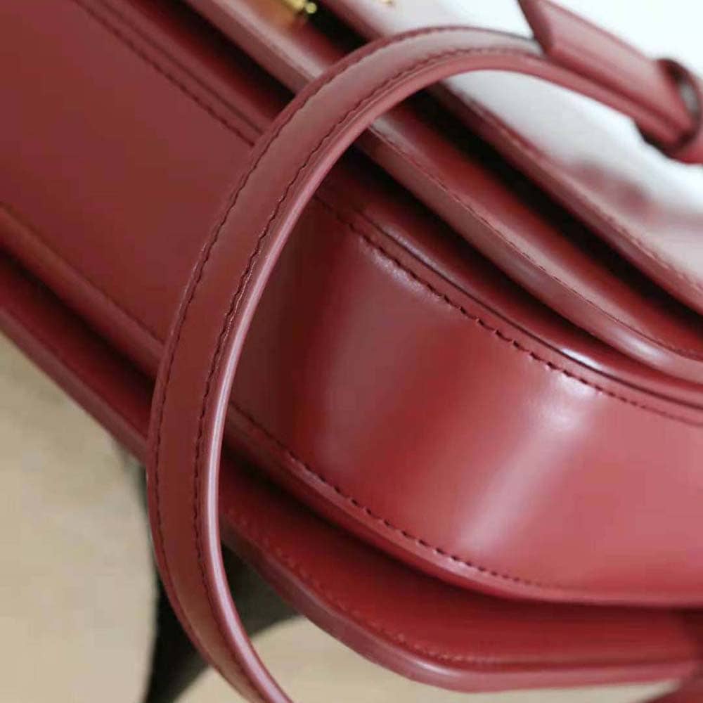 TÚI LOEWE Goya bằng da bê lụa màu nâu đỏ