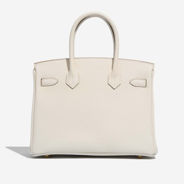 TÚI Hermès Birkin 30 Togo Mushroom