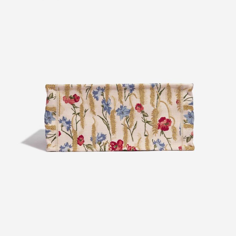 TÚI DIOR Book Tote Small Canvas Multicolour