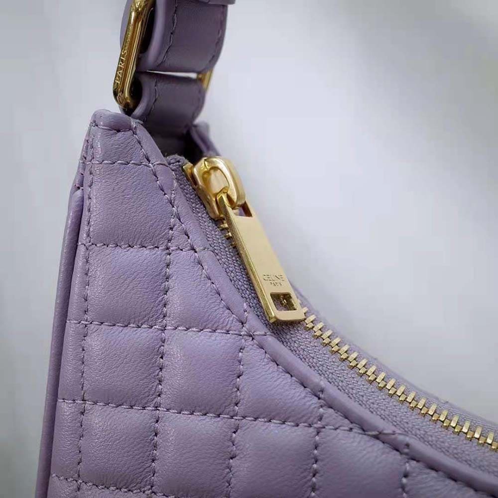 TÚI Celine Women Ava Bag in Triomphe Canvas and Calfskin