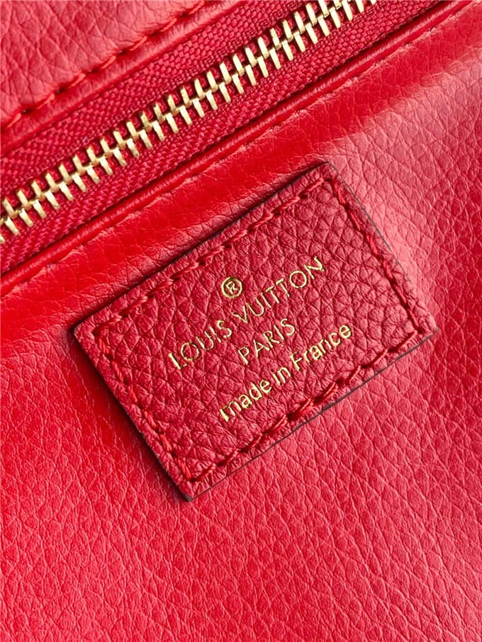 Túi LOUIS VUITTON Pouch handbag