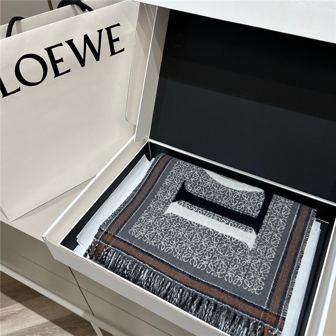 KHĂN LOEWE Cashmere scarf