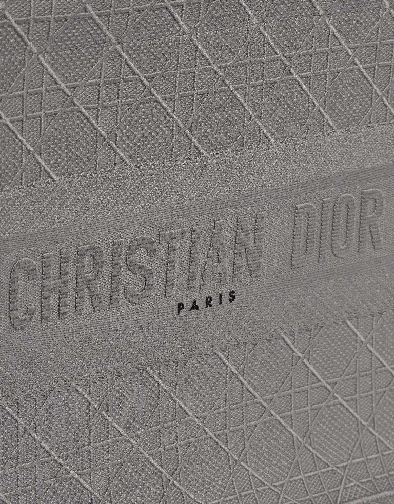 TÚI Dior Book Tote Medium Canvas Grey