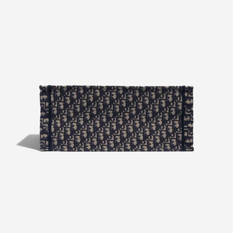 TÚI Dior Book Tote Large Canvas Blue White