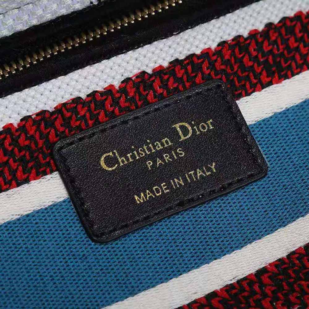 TÚI Dior Women Medium Lady D-lite Bag Latte Multicolor Dior Constellation Embroidery-White