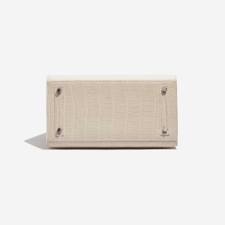 TÚI Hermès Birkin 20 Faubourg Matte Alligator Togo Epsom