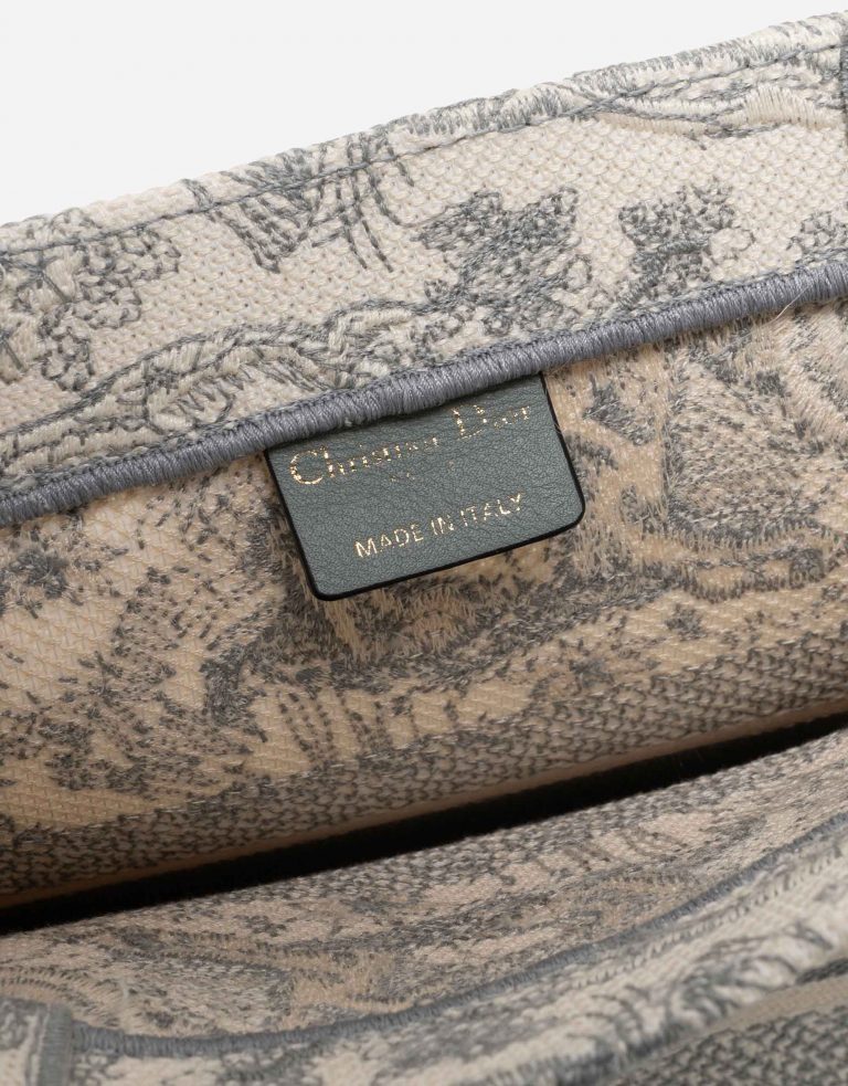 TÚI DIOR Book Tote Small Toile Beige Grey