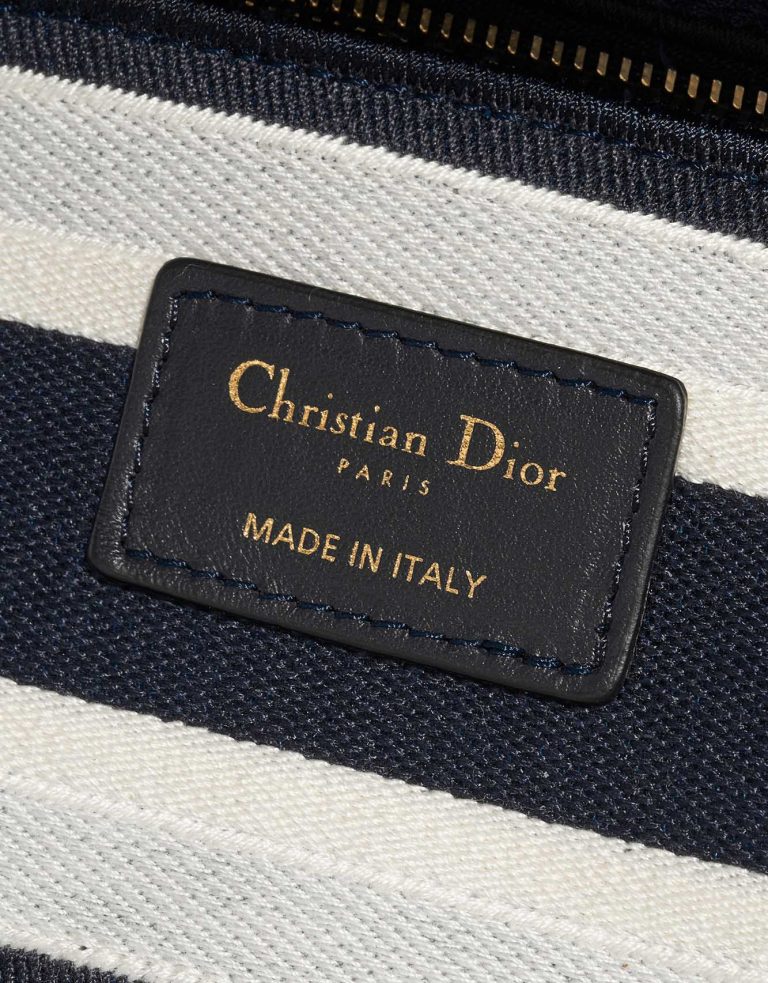 TÚI Dior Lady D-Lite Medium Canvas Blue  White