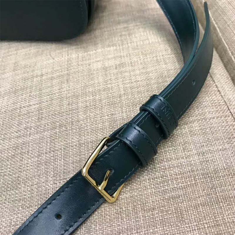 TÚI Celine Women Medium Triomphe Bag In Shiny Calfskin-Green