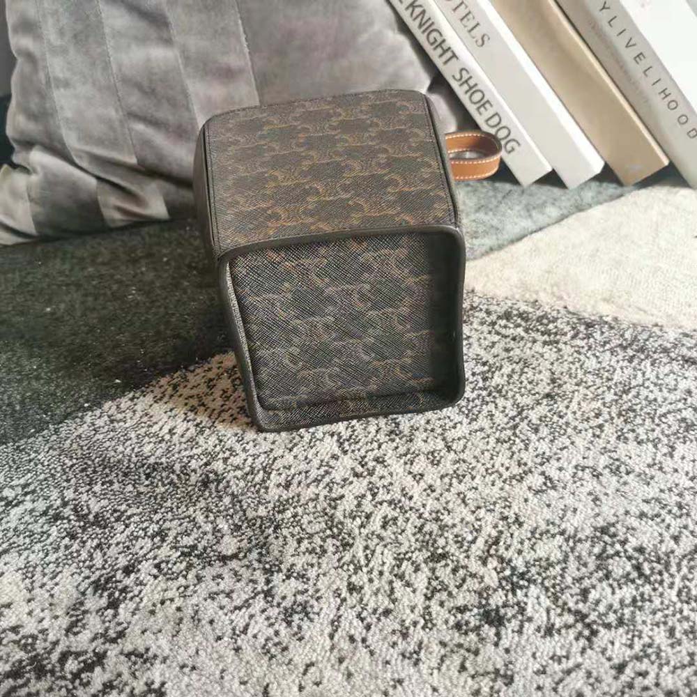 TÚI Celine Strap Box in Triomphe Canvas and Calfskin