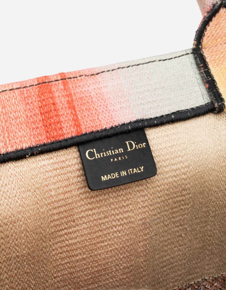 TÚI DIOR Book Tote Large Canvas Multicolour