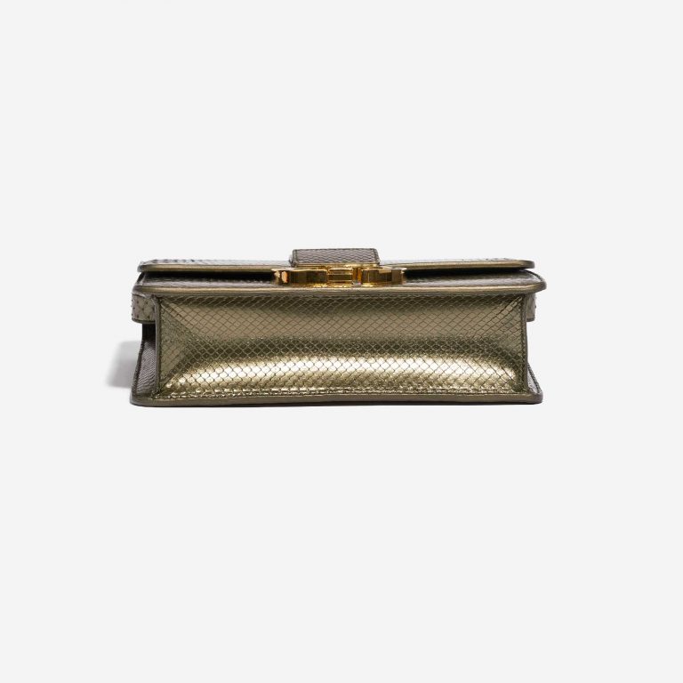 TÚI Dior 30 Montaigne Medium Python Green Metallic DA TRĂN