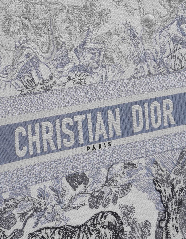 TÚI DIOR Book Tote Large Canvas Blue