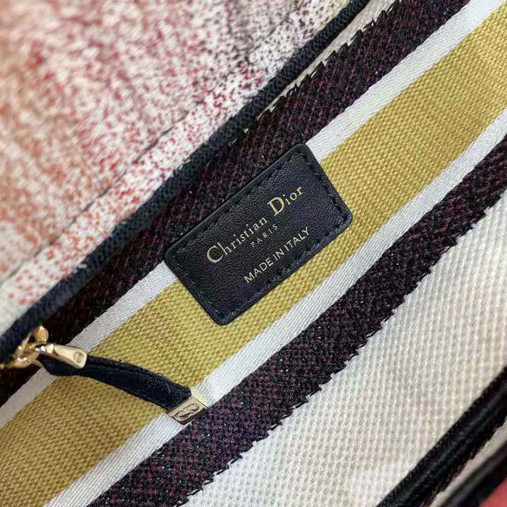 TÚI Dior Women Medium Lady D-lite Bag Multicolor Stripes Embroidery