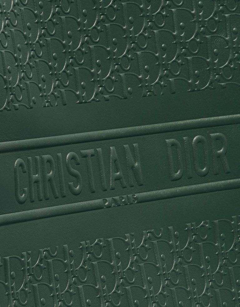 TÚI DIOR Book Tote Large Calf Green