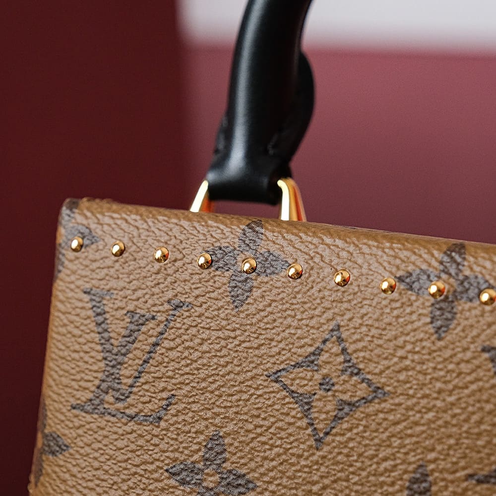 TÚI LOUIS VUITTON CAMERA BOX MONOGRAM BEST QUALITY SẢN PHẨM TỐT NHẤT