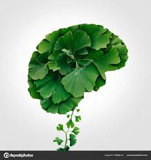 Fine Ginkgo Plus Nhật Bản hỗ trợ giảm Stress và mệt mỏi