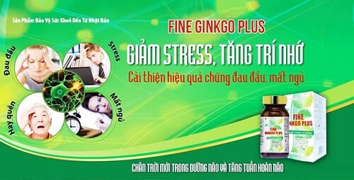 Lợi ích tuyệt vời của Ginkgo Bạch quả Fine Ginkgo Plus Nhật Bản