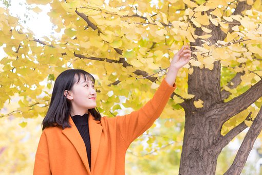 Fine Ginkgo Plus Bảo vệ khỏi Rối loạn thính giác