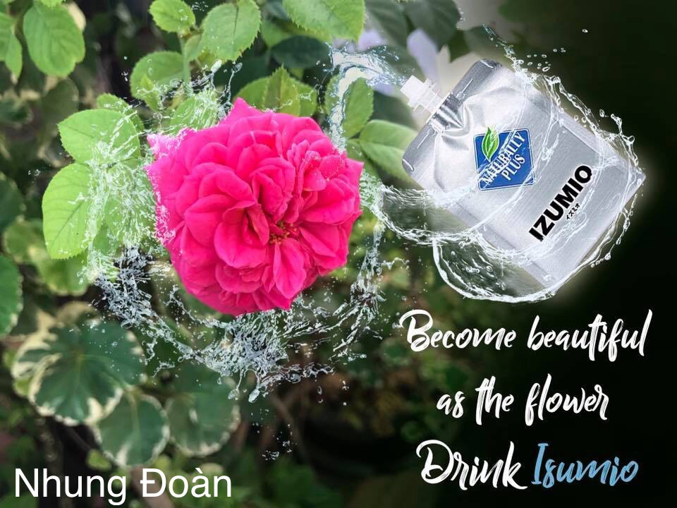 Izumio dẫn khí hydro có kiềm không? Izumio lấy đi gốc tự do như thế nào?