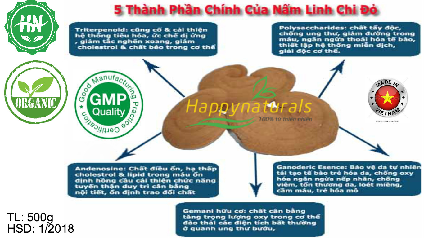 TÁC DỤNG  VÀ CÁCH SỬ DỤNG HIỆU QUẢ NẤM LINH CHI ĐỎ