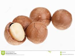 Thông tin cần biết về hạt Macadamia (Mắc ca- Macca)