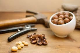 8 lợi ích sức khỏe của hạt Macadamia