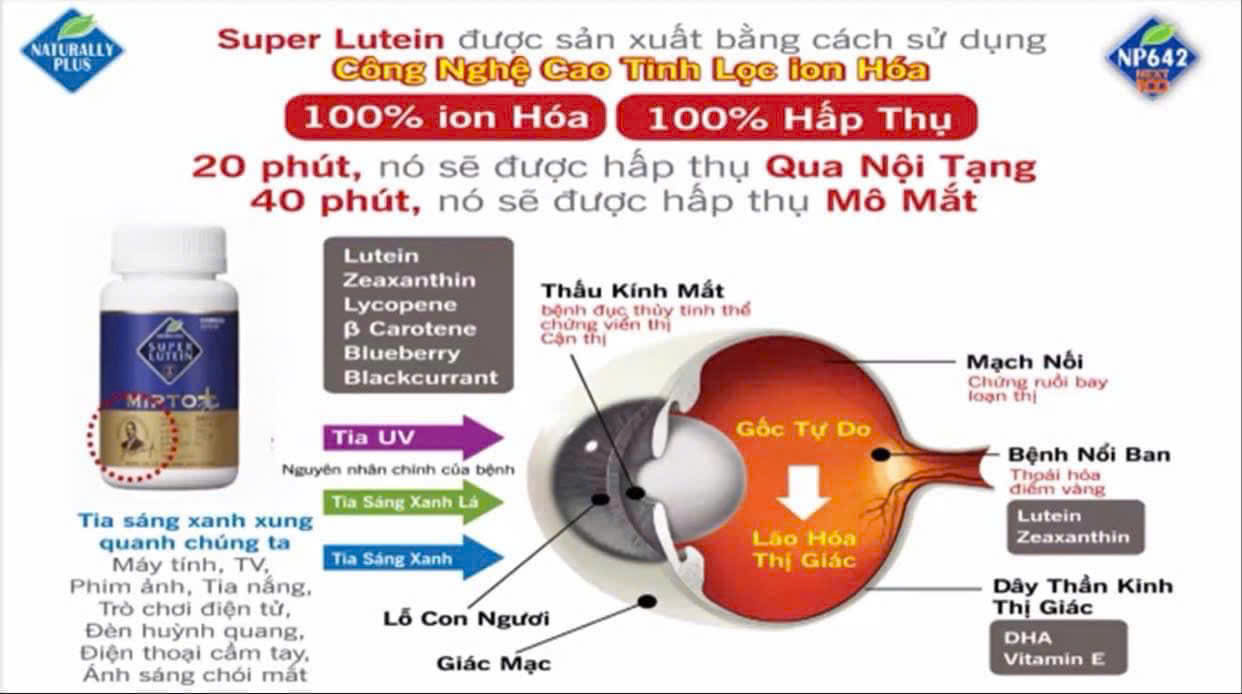 Super Lutein Mirto Plus thành phần nào  tối ưu cho mắt thoái hoá điểm vàng AMD?