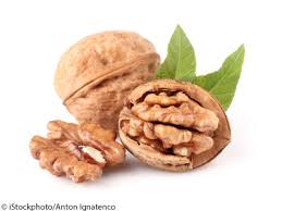 QUẢ ÓC CHÓ_TĂNG CƯỜNG SỨC KHỎE CHO MỌI ĐỐI TƯỢNG