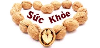 Cách phân biệt quả óc chó Mỹ và quả óc chó Trung Quốc