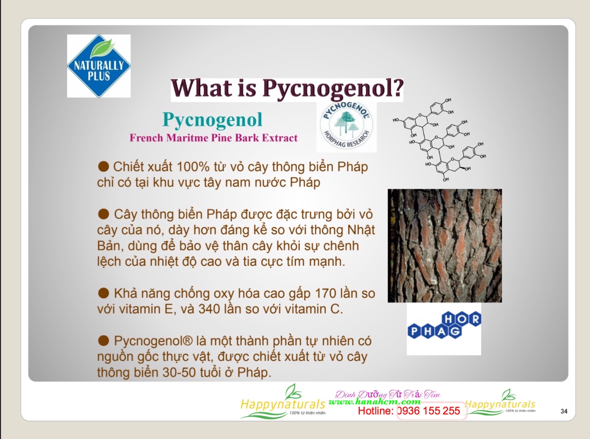 Tại Sao Pycnogenol Thành phần quan trọng của Super Lutein Mirto plus?