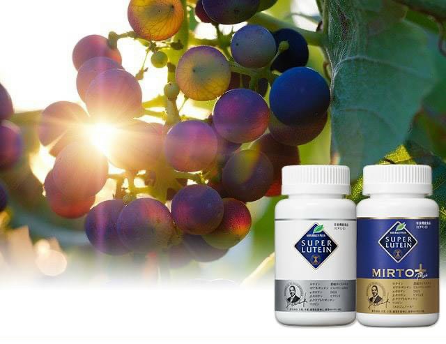 5 điều Super Lutien và Super  Lutein Mirto plus hỗ trợ điều trị thoái hoá điểm vàng