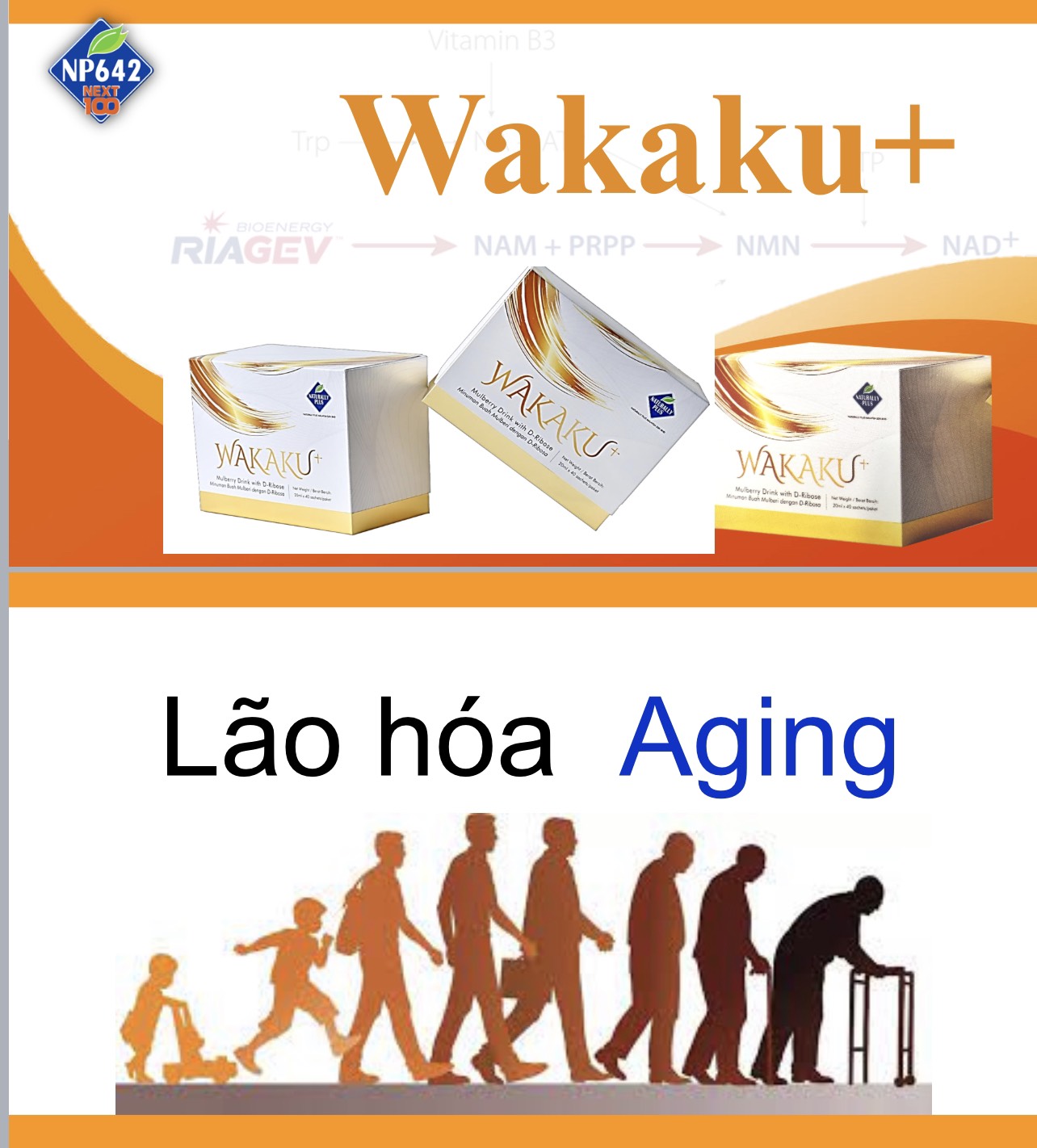 10 tác dụng điều trị và chống lão hoá của NAD+có trong Wakaku