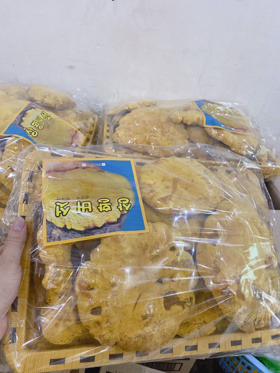 NẤM THƯỢNG HOÀNG KHAY 500g Hàn Quốc