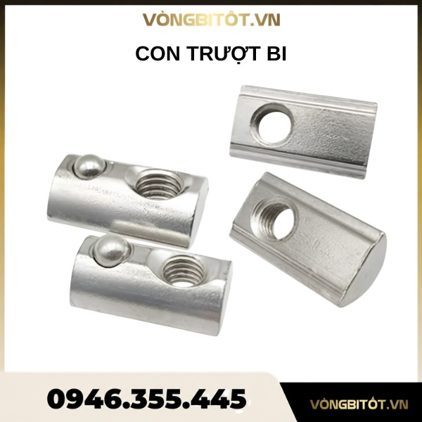 Con trượt bi