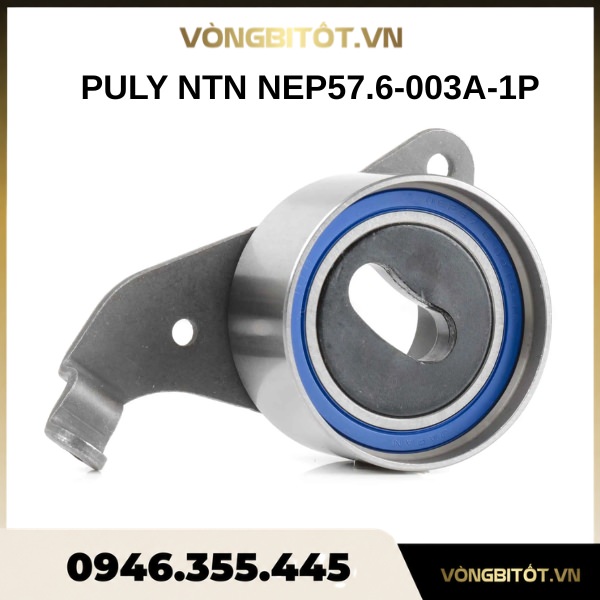 Puly NTN NEP57.6-003A-1P