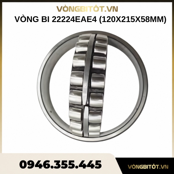 Vòng bi 22224EAE4